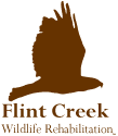 flintcreekwildlife.org icon