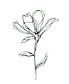 floralsbybenita.com icon