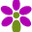 flores.com.ec logo