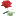 floresjardim.com icon
