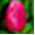 floriangreenhouse.com icon