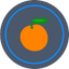 floridaluxurylending.com icon