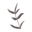 flowandgrowdesign.com icon