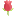 flower-india.in icon