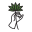 FLOWER CO. logo