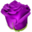 flowercube.ru icon