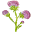 flowerofscotland.org icon