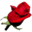 flowersfast.com icon