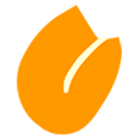 flowershop.nl icon
