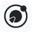Flowton: the "time particle" logo