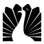 flutedfilter.com icon