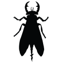 flylondonsrbija.rs icon