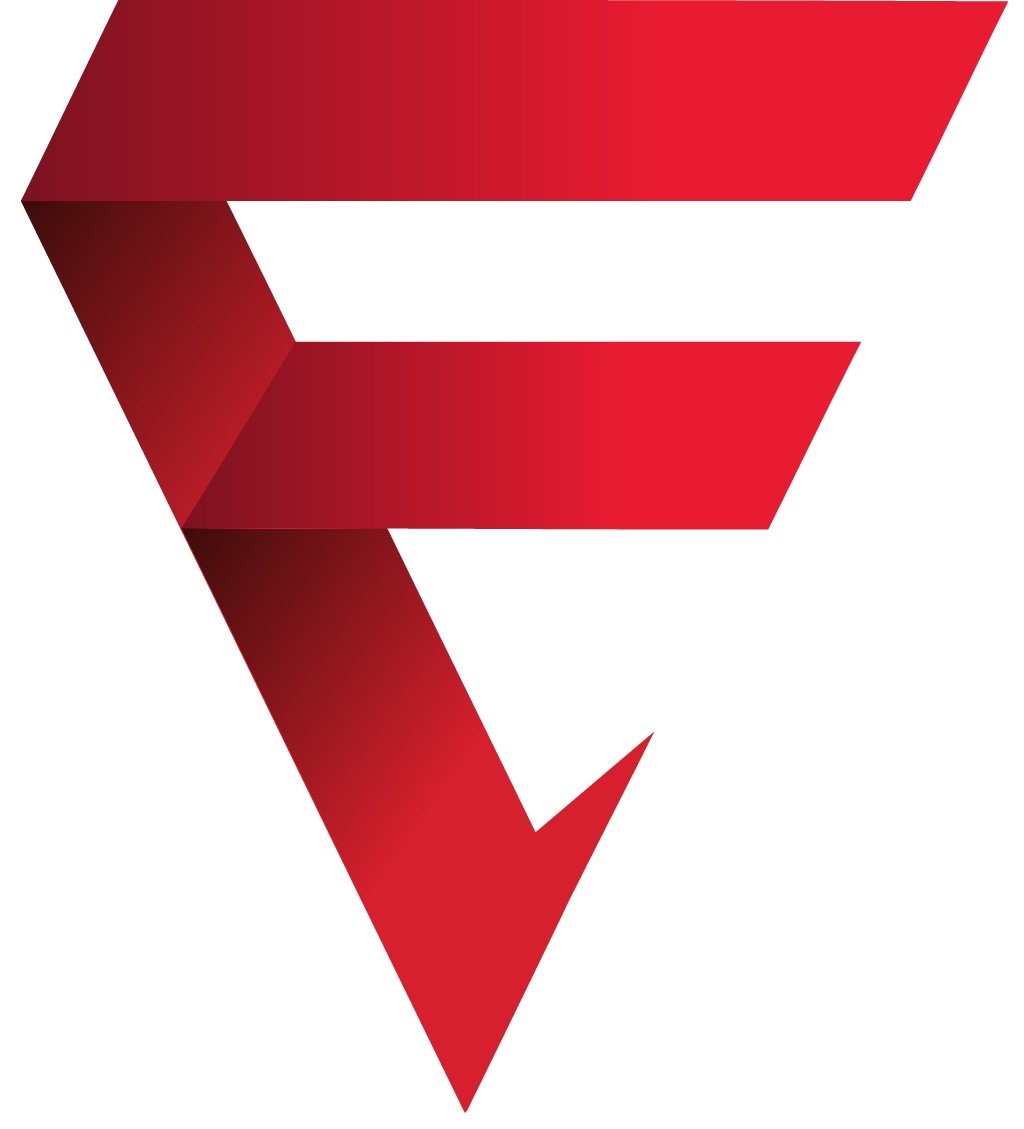 FlyTek GSE logo
