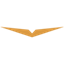 flytru.com icon