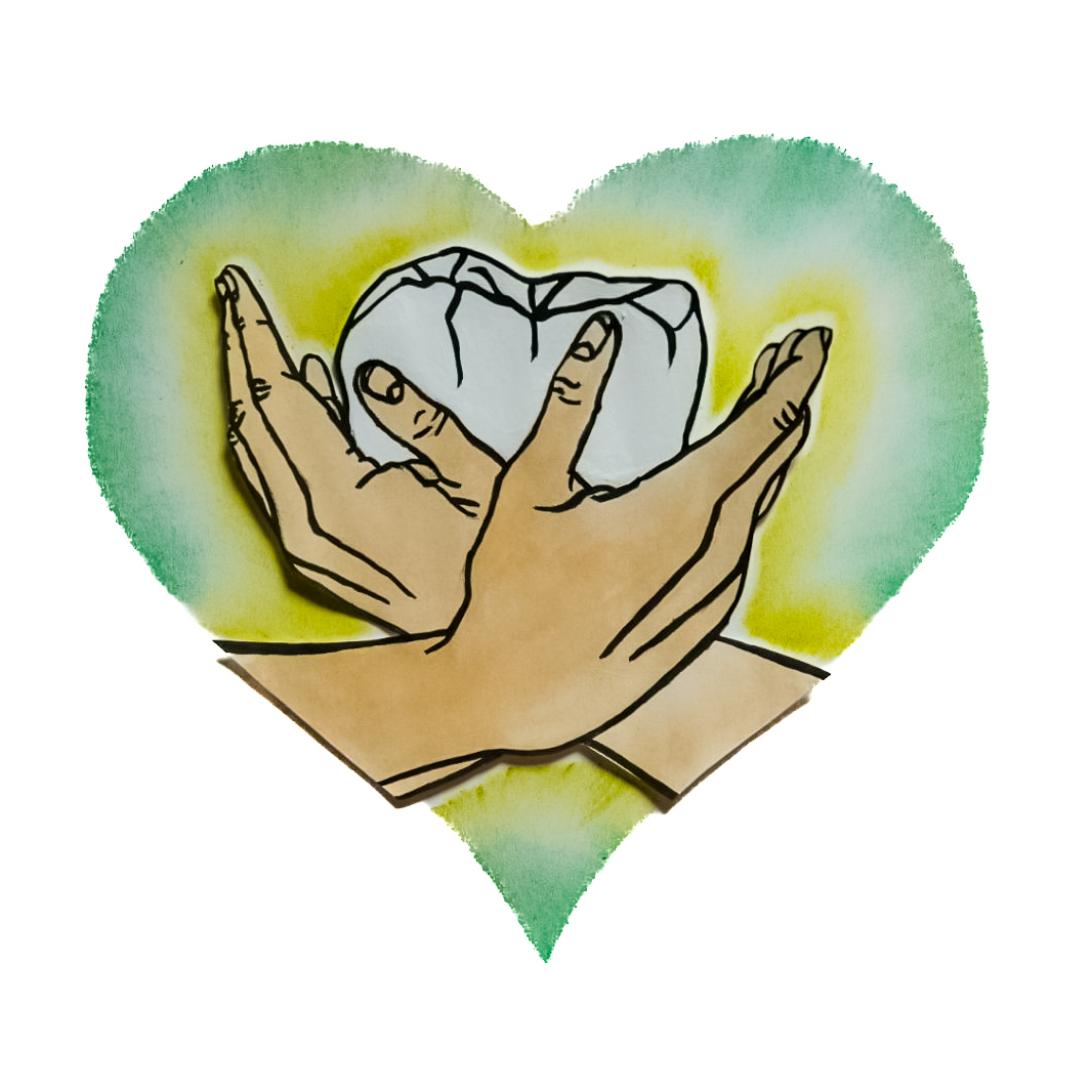 fmd-zahnmedizin.de icon