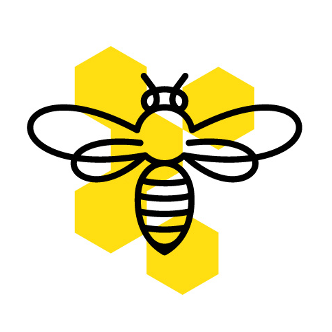 fnosad.com icon