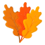foliateoak.com icon
