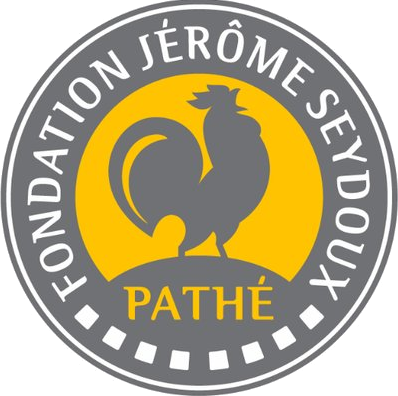 fondation-jeromeseydoux-pathe.com icon