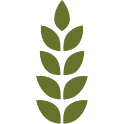 foodlifeline.org icon