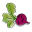 foodnotlawns.com icon