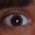 foolabs.com icon