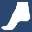 footandankle-usa.com icon
