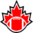 Domain Favicon