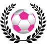 footballmakesithappen.nl icon