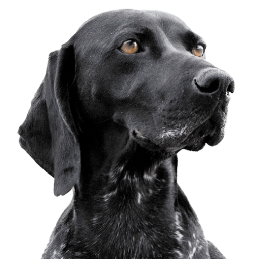 fordogsonly.de icon