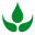 forestnation.com icon