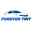 forevertint.com icon