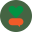 forumogrodowe.pl icon