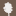 fotaisland.ie icon