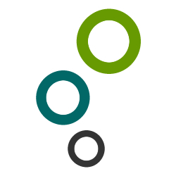 foundonlinesolutions.com icon