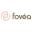 fovea-vet.fr icon