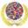 fowcaas.org icon