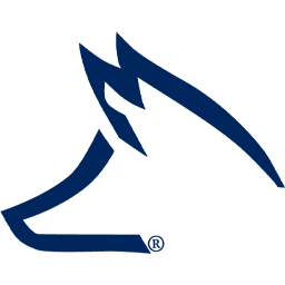 foxpowersportsparts.com icon