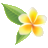frangipani-art-gallery.com icon