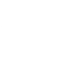 franziska-brantner.de icon