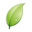 freshfruitportal.com icon