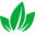 freshgreenfreedom.com icon