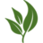 freshideasdining.com icon