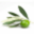 freshpressedoliveoil.com icon