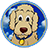 friendshipcars.com icon