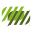 frisennieuw.nl icon