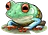 frogpants.com icon