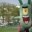 frogsareevil.com icon