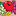 fruitoftheloom.eu icon