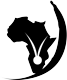 FSD Africa logo