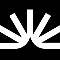fsty.io icon